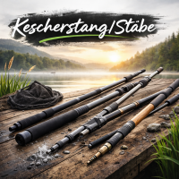Kescherstock- / stab