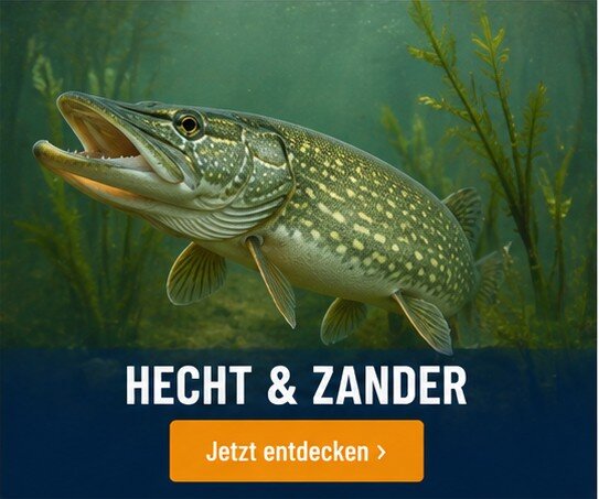 Hecht & Zander-Angelwelt bei Angel Spezi Hille 