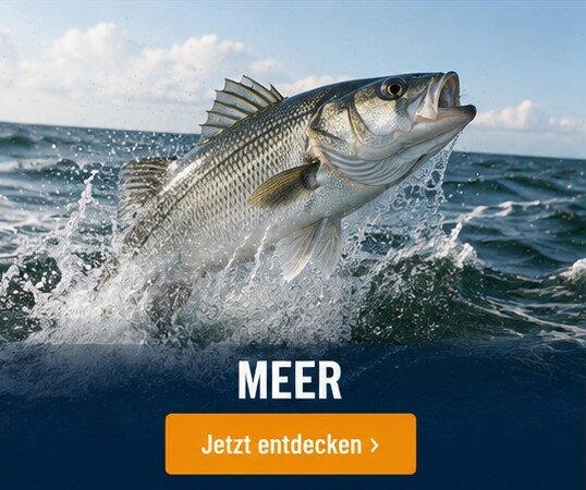Meer-Angelwelt bei Angel Spezi Hille 