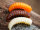 Trout Master Camola | 30mm | verschiedene Farben / Aromen