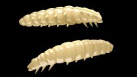 Libra Lures | Larva  30mm | Cheese |  Cheese