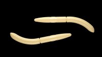 Libra Lures |  Fatty DWorm 65mm  | Cheese  Cheese