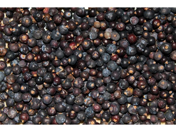 FTM Wachholder Beeren