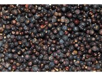 FTM Wachholder Beeren