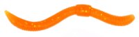 Trout Master Dendrobaena | 6cm  Orange