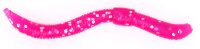 Trout Master Dendrobaena | 6cm  Pinky