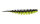 Trout Master Master Worm | 6,5 cm   Black Lime | 8 Stück