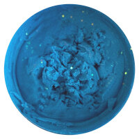 Trout Master Pro Paste | 60g | Fluo Blue