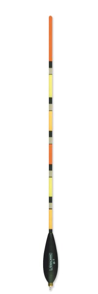 Victory Multicolor